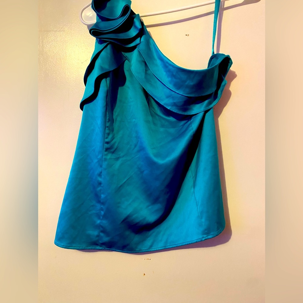 The Limited size Large silk blue women’s blouse